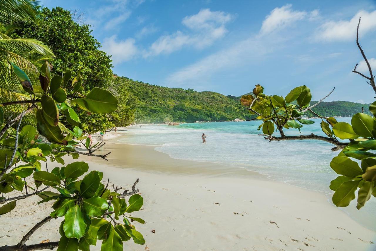 Lou Lou Bungalow Grand Anse  Dış mekan fotoğraf