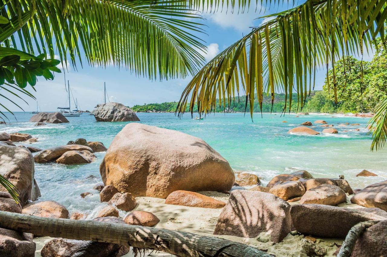 Lou Lou Bungalow Grand Anse  Dış mekan fotoğraf