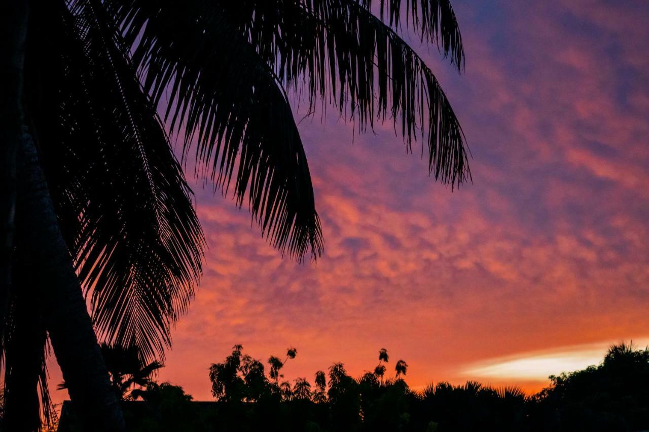 Lou Lou Bungalow Grand Anse  Dış mekan fotoğraf